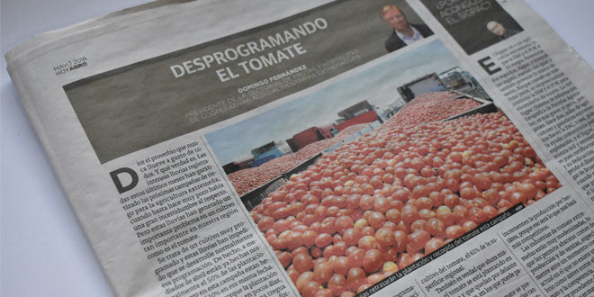 Acopaex-Tomate-2