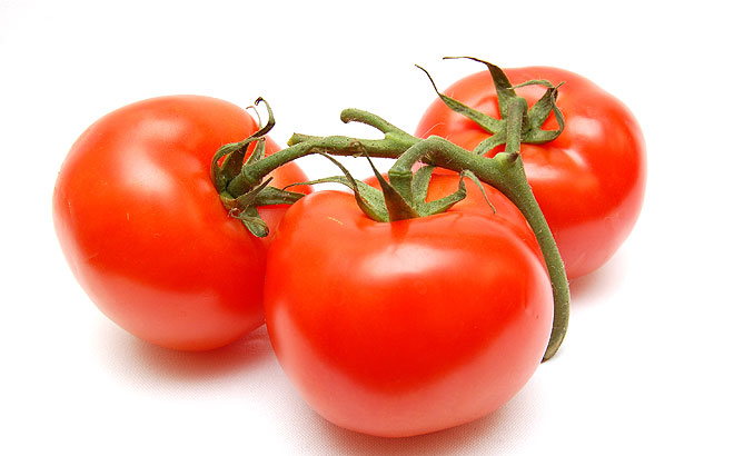 tomate-apis-acopaex