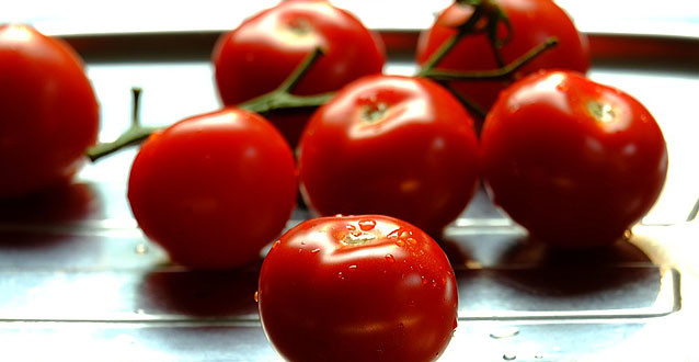 tomate-de-industria-acopaex